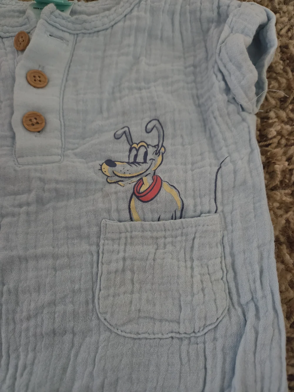 Disney mickey pluto